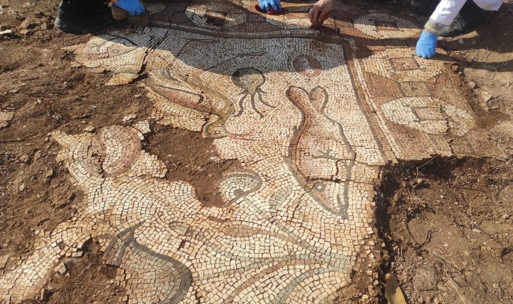 Ancient Roman mosaic with sea creatures discovered in Turkey (photo)