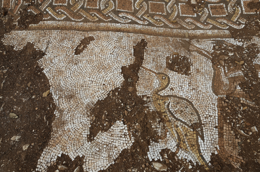 Ancient Roman mosaic with sea creatures discovered in Turkey (photo)