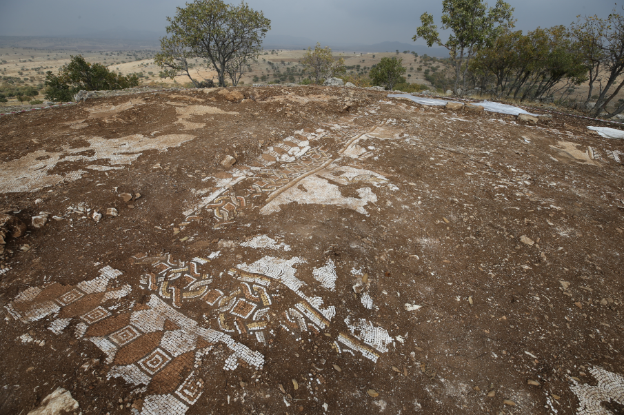 Ancient Roman mosaic with sea creatures discovered in Turkey (photo)