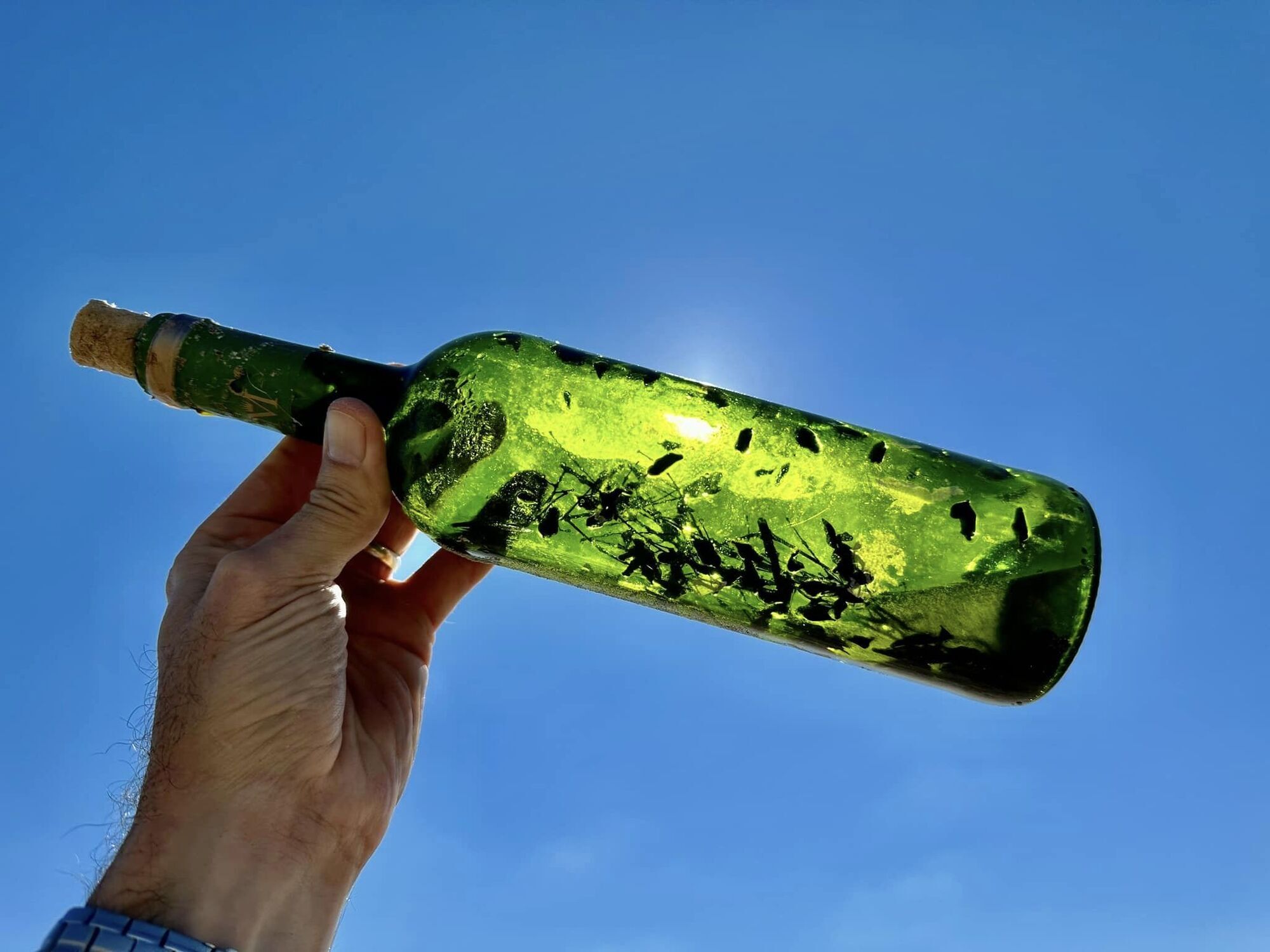 На побережье Мексиканского залива находят ''ведьминские бутылки'': почему их опасно трогать (видео)