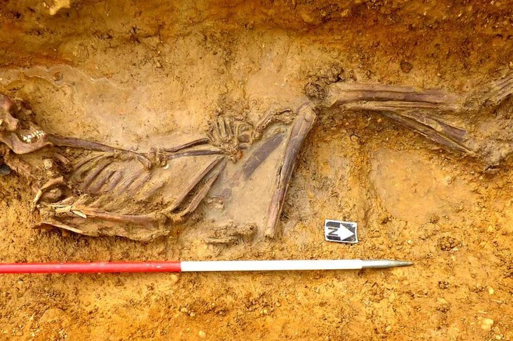 Розгадано походження 2000-річного тіла у Британії: померлий був з України (фото)