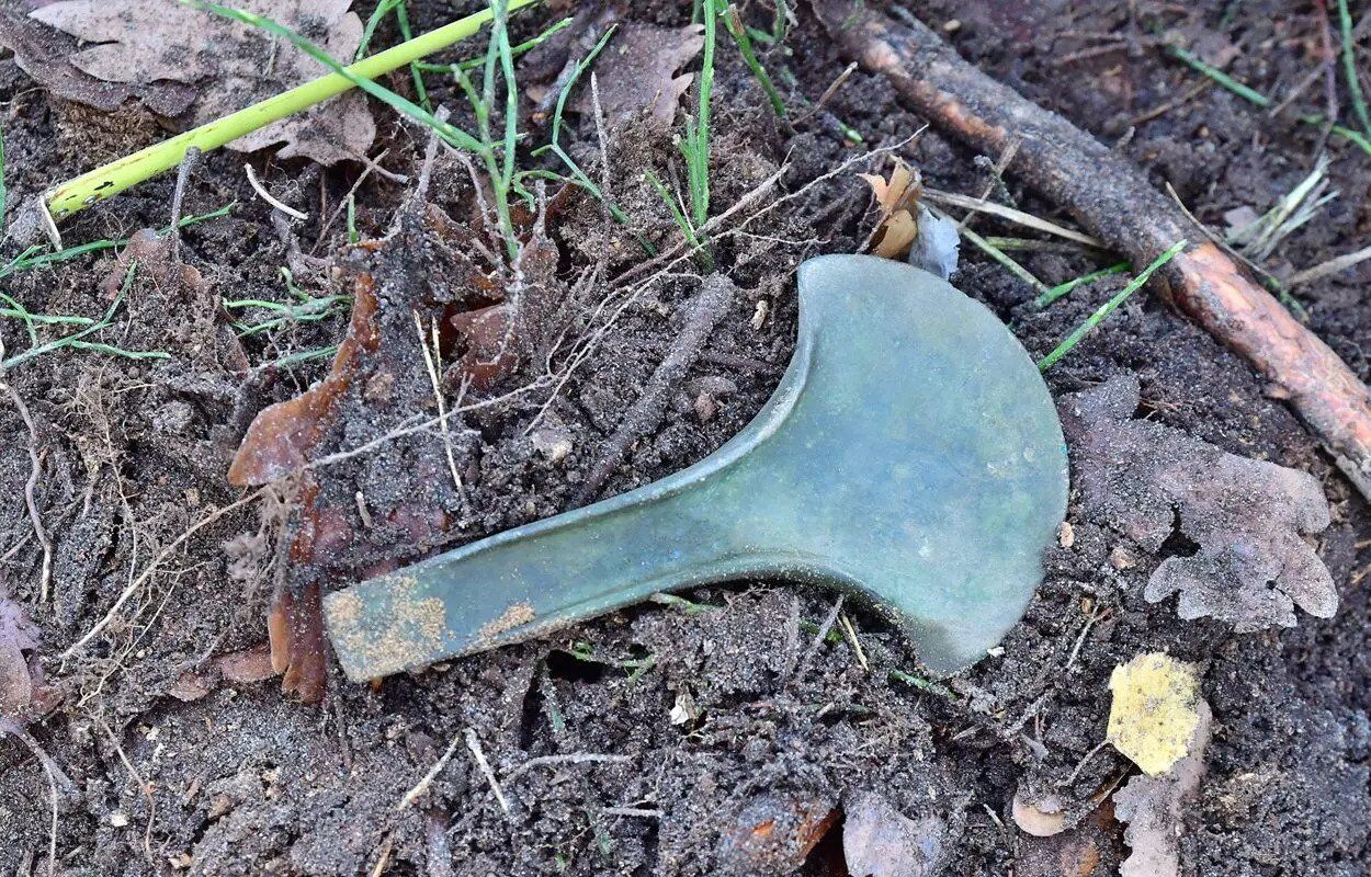 Five Bronze Age axes discovered in Polish forests (photos)