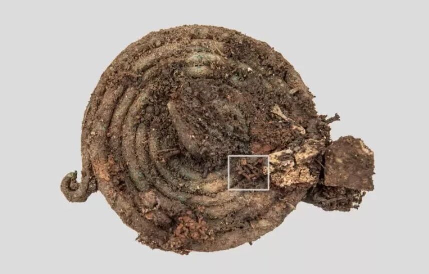 В Австрії знайшли могильник раннього залізного віку, що містив рідкісні артефакти (фото)