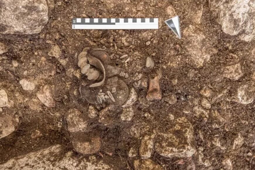 В Австрії знайшли могильник раннього залізного віку, що містив рідкісні артефакти (фото)