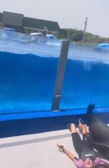 300-килограммовый морской лев во время побега чуть не убил работницу аквариума (видео)