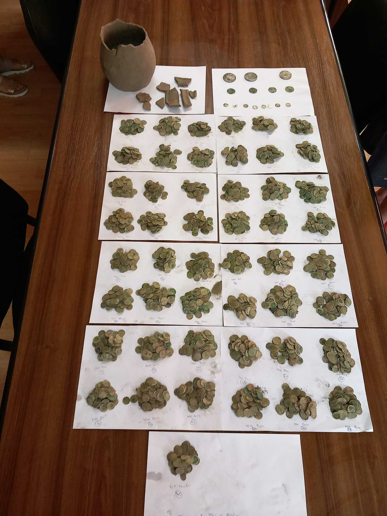 In Romania, metal detectors found a treasure with medieval coins in the forest (photo)