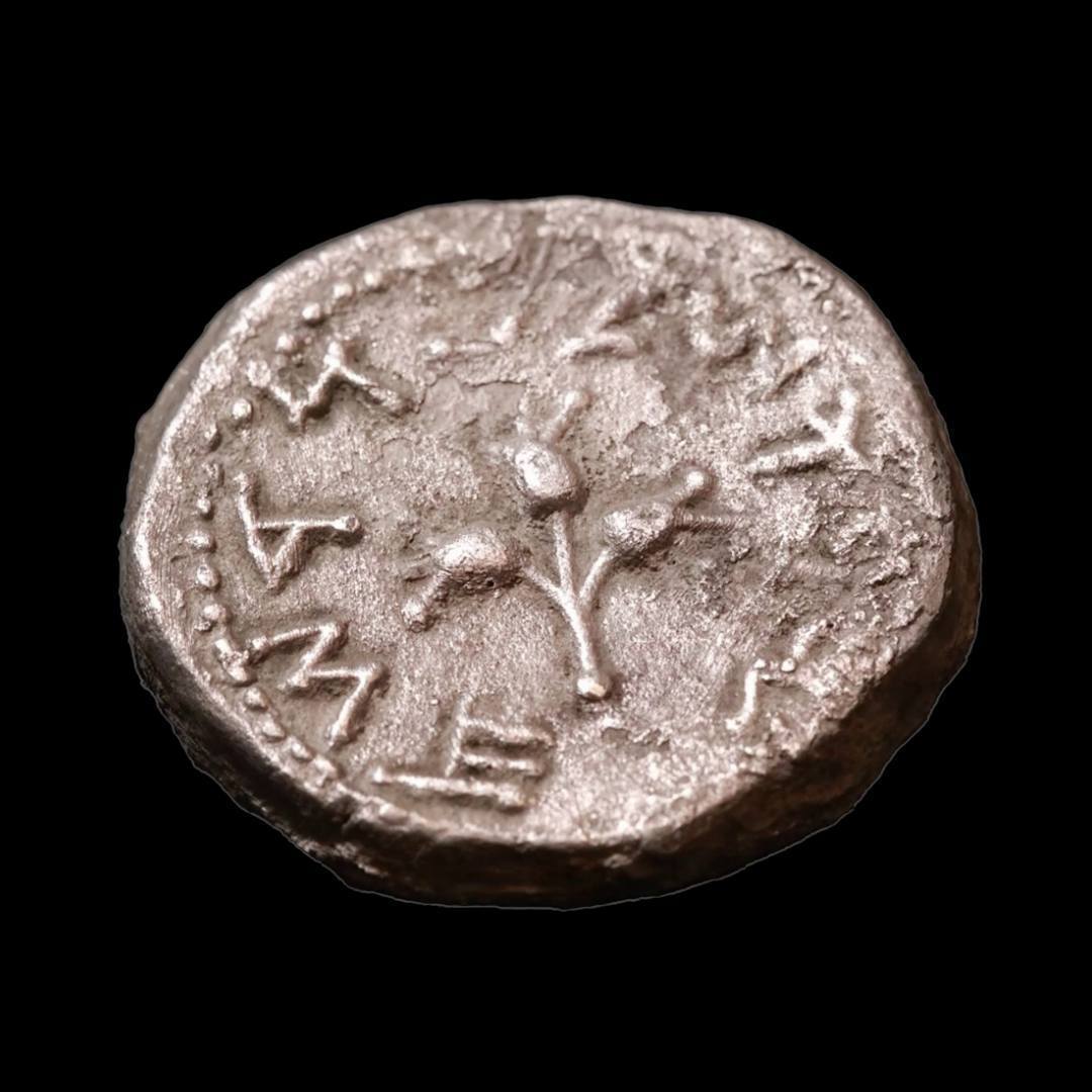 Рідкісну срібну монету, якою платили податки у Єрусалимському Храмі, знайшли у пустелі (фото)