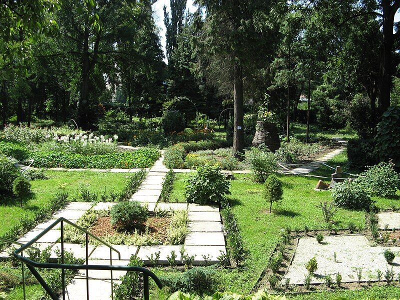 Вікенд в Ужгороді. Подорож містом, якому виповнилося 1128 років