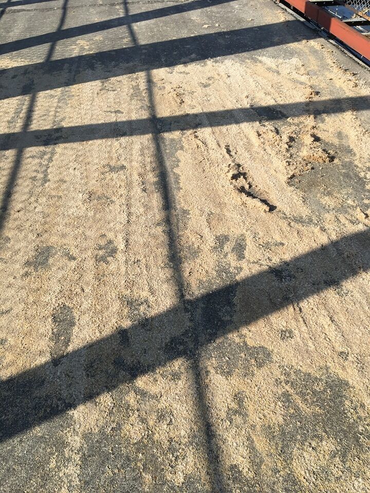 Через аномальний наліт комах на Прикарпатті дороги перетворилися на ковзанку (відео)
