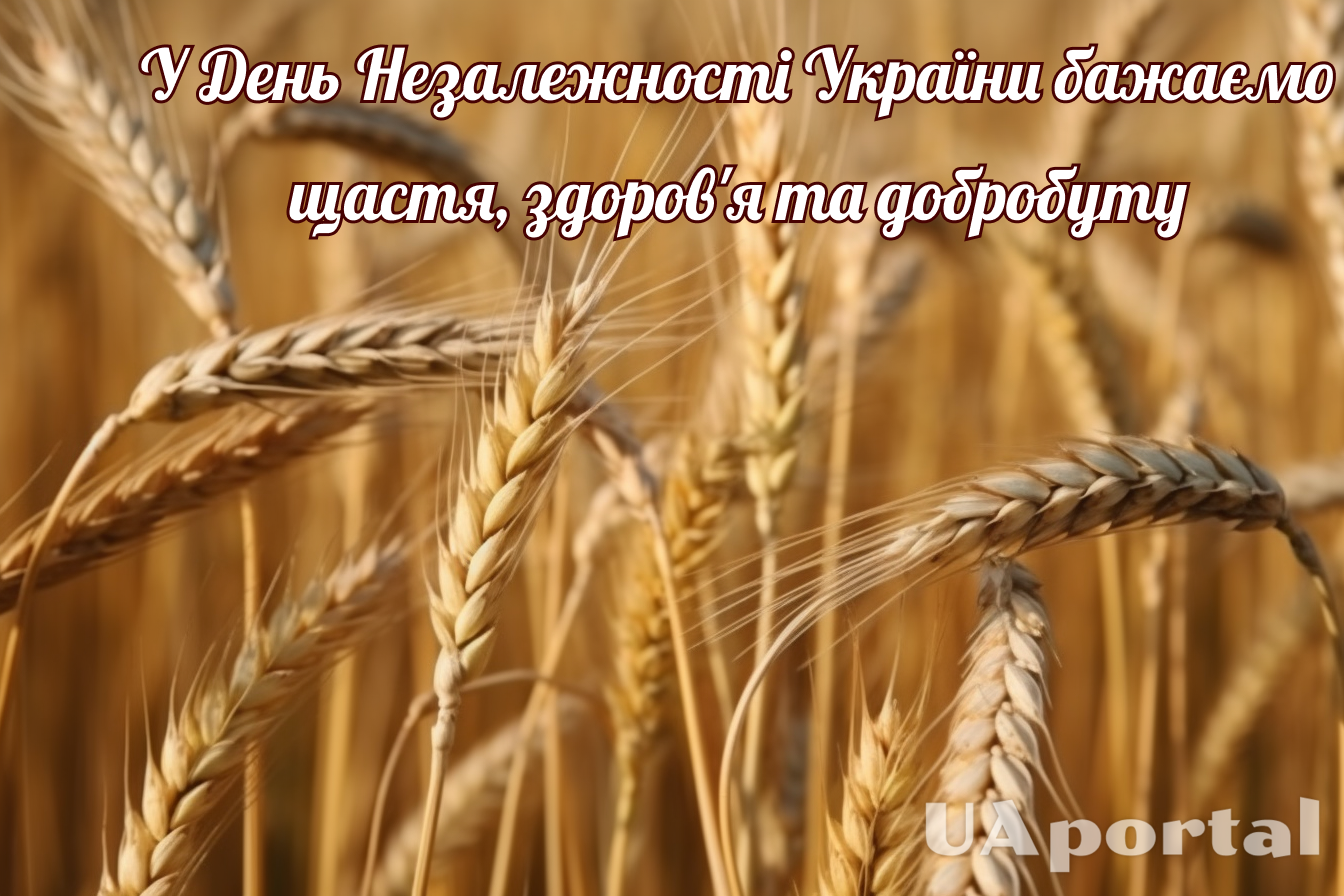 Найкращі короткі вітання з Днем Незалежності українською мовою та гарні листівки 