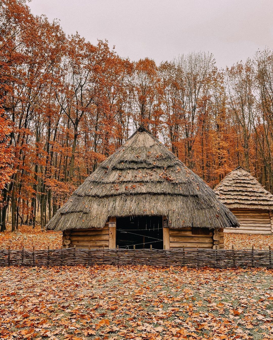 Ваши живописные выходные в Прикарпатье: Осенняя локация завораживающая фоном и культурно-историческими местами