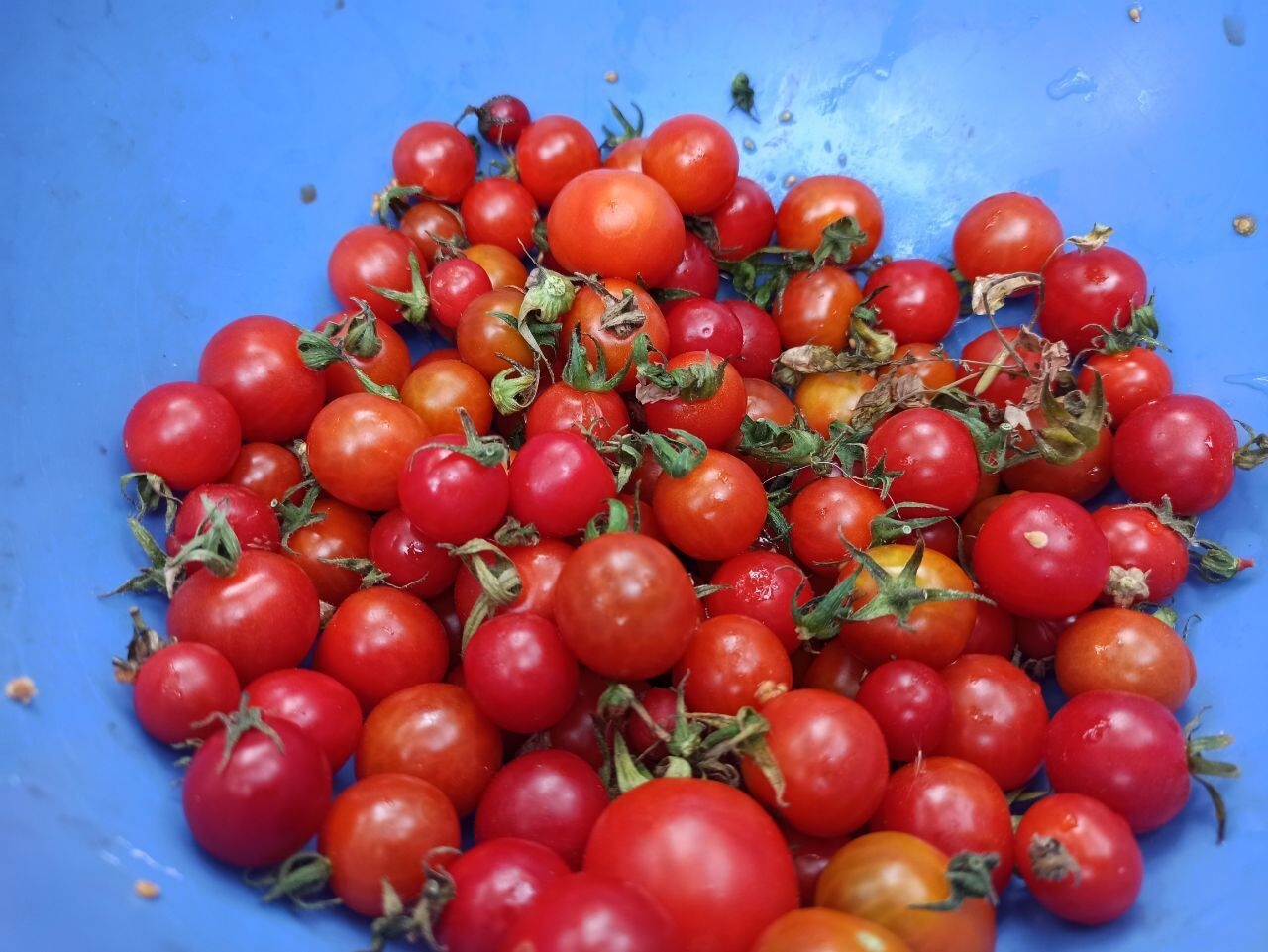 Как приготовить самые вкусные маринованные помидоры черри: пошаговый рецепт