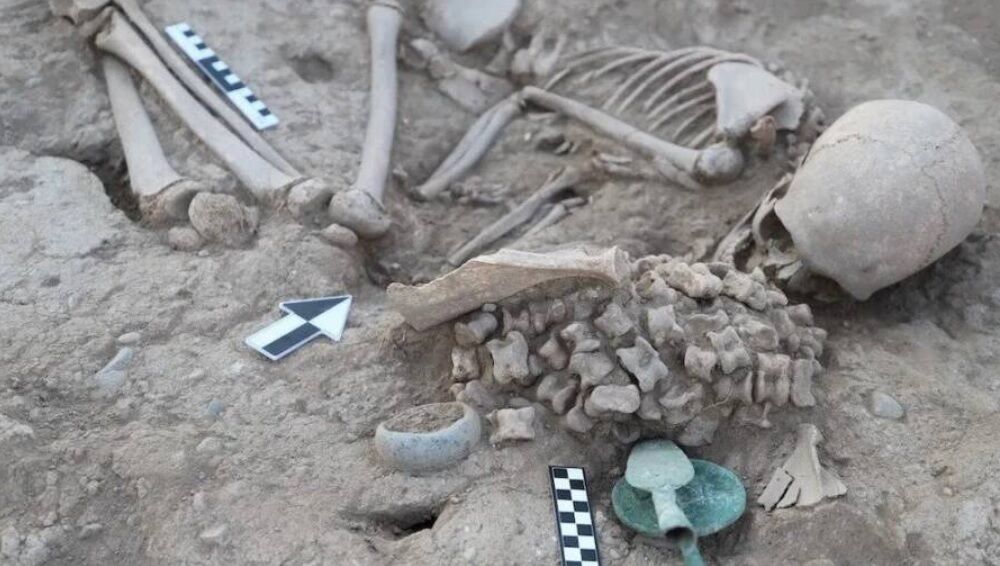 У Казахстані знайшли могилу дівчини, яку у бронзовому віці поховали зі 150 кістками тварин (фото)