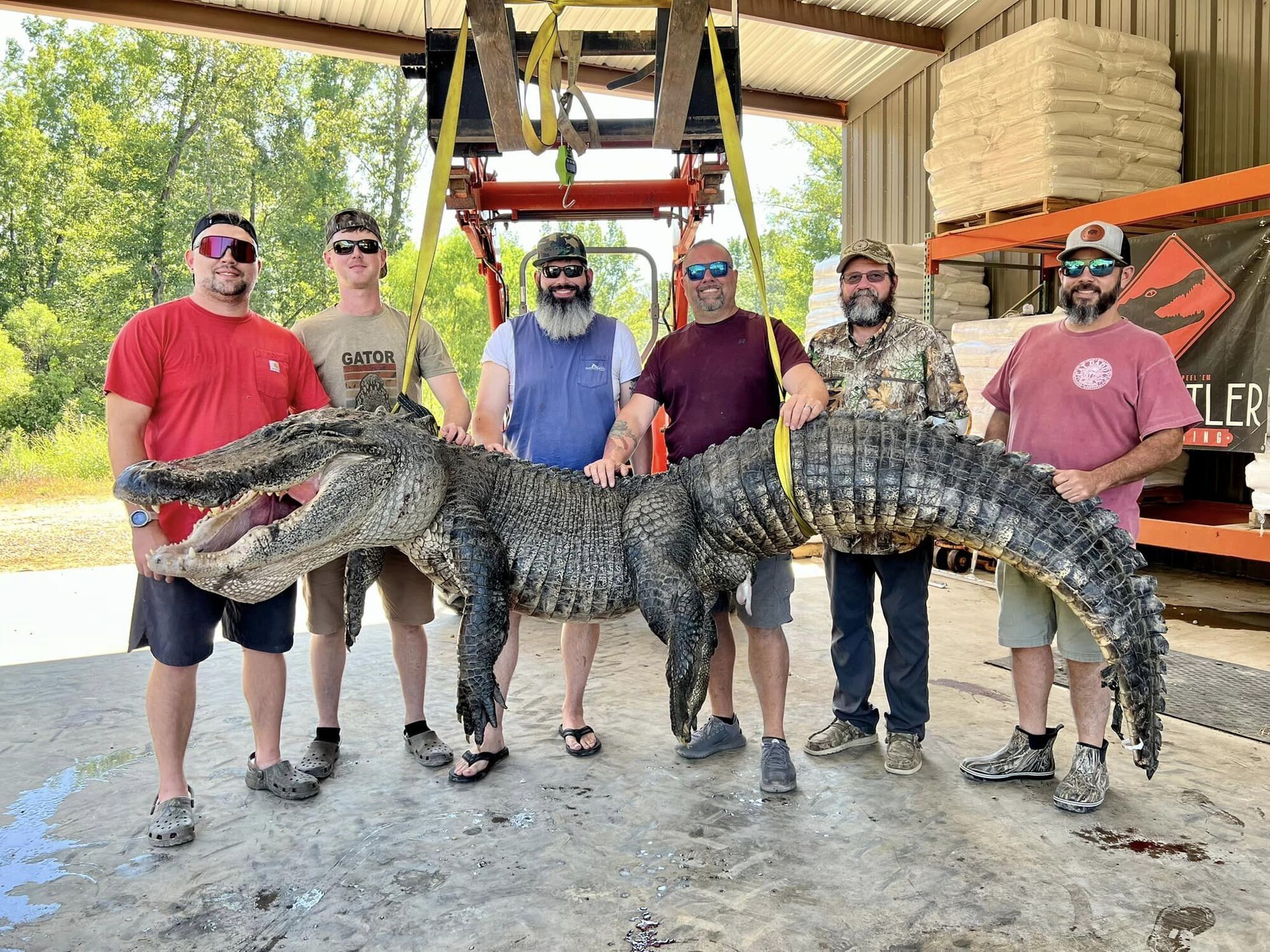 Более 4 метров в длину: в Миссисипи охотники поймали гигантского аллигатора (фото)