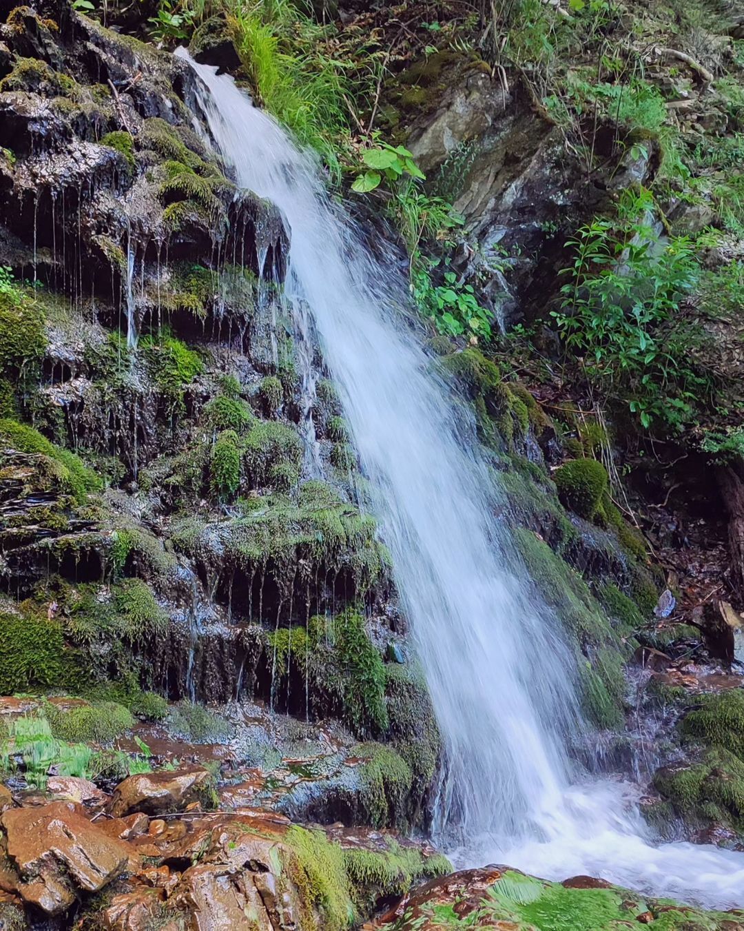 Оберіть свій улюблений водоспад в Україні. Понад 20 локацій для фото-танго з водою