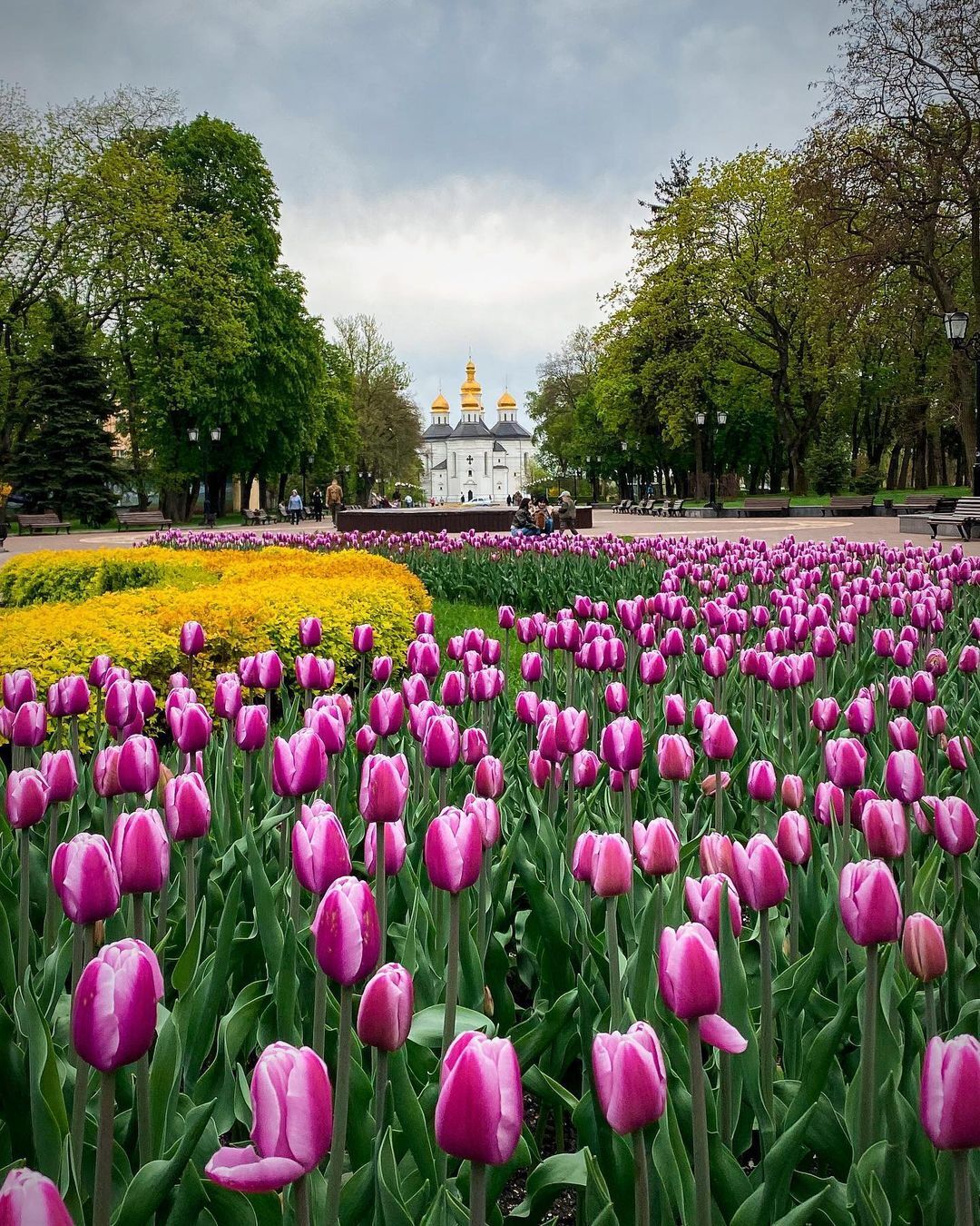 Город Украины, который готовится к включению в список Всемирного наследия ЮНЕСКО. Откройте Чернигов изнутри