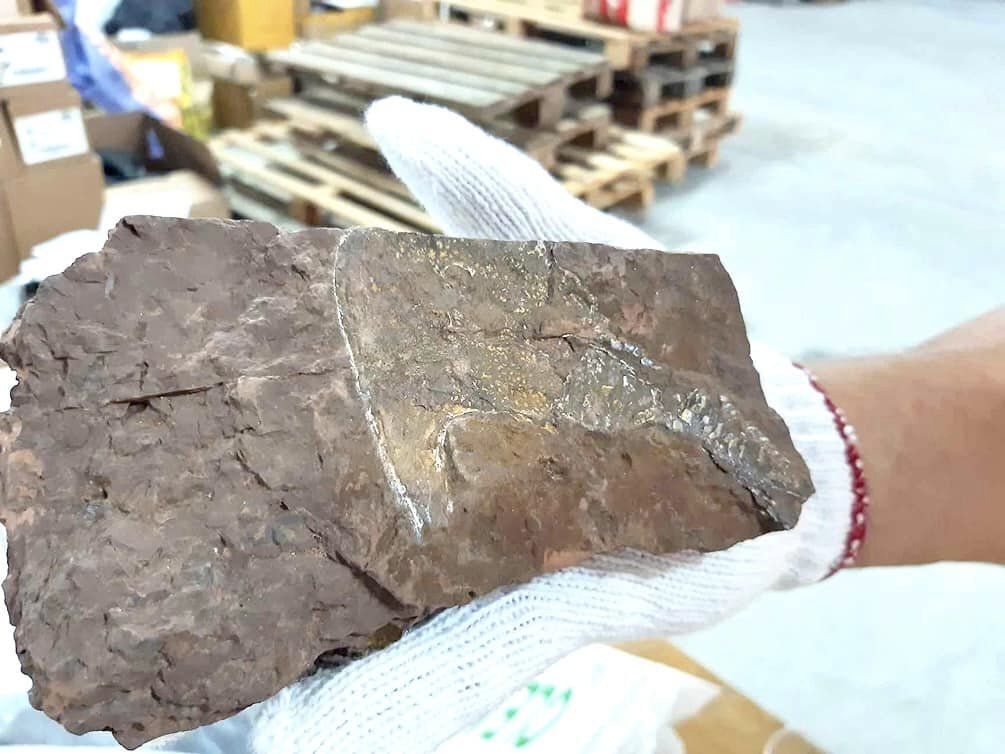Из Киева в США пытались вывезти камни, которым более 400 миллионов лет (фото)