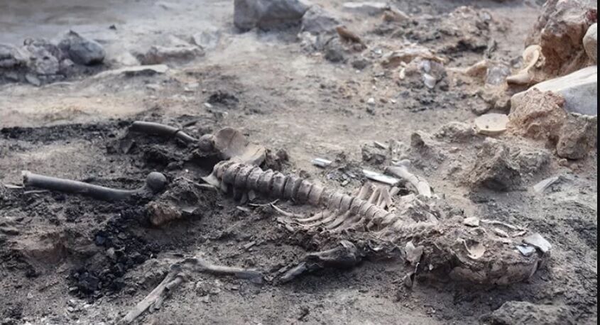 Моторошна знахідка у Туреччині: археологи відкопали 3700-річний мозок і залишки шкіри (фото)