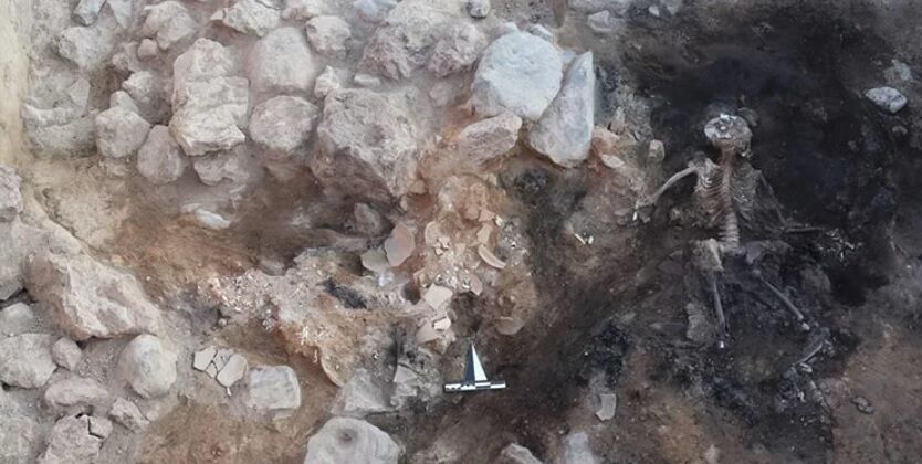 Жуткая находка в Турции: археологи откопали 3700-летний мозг и остатки кожи (фото)