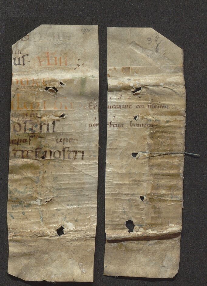 Археологи нашли утерянную рукописную книгу псалмов принцессы-беженки (фото)
