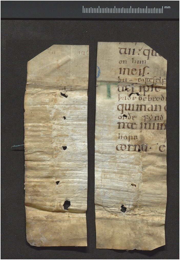 Археологи нашли утерянную рукописную книгу псалмов принцессы-беженки (фото)