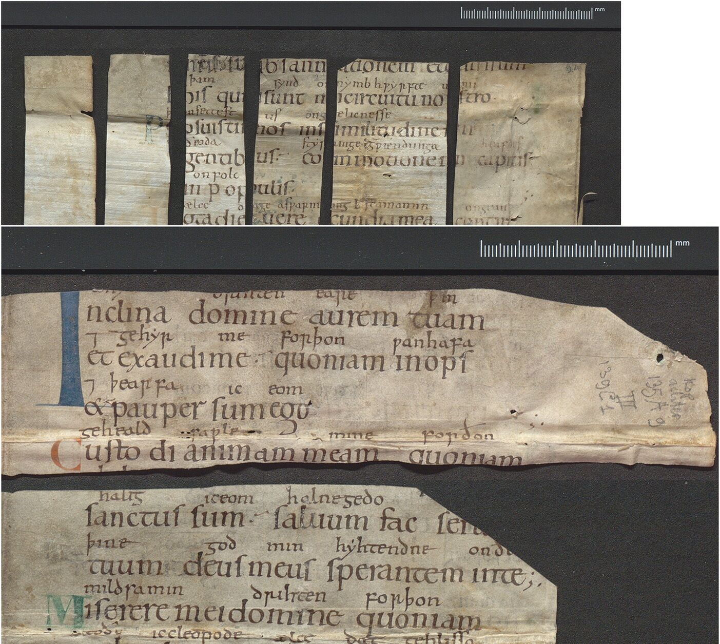 Archaeologists find lost manuscript book of psalms of refugee princess (photo)