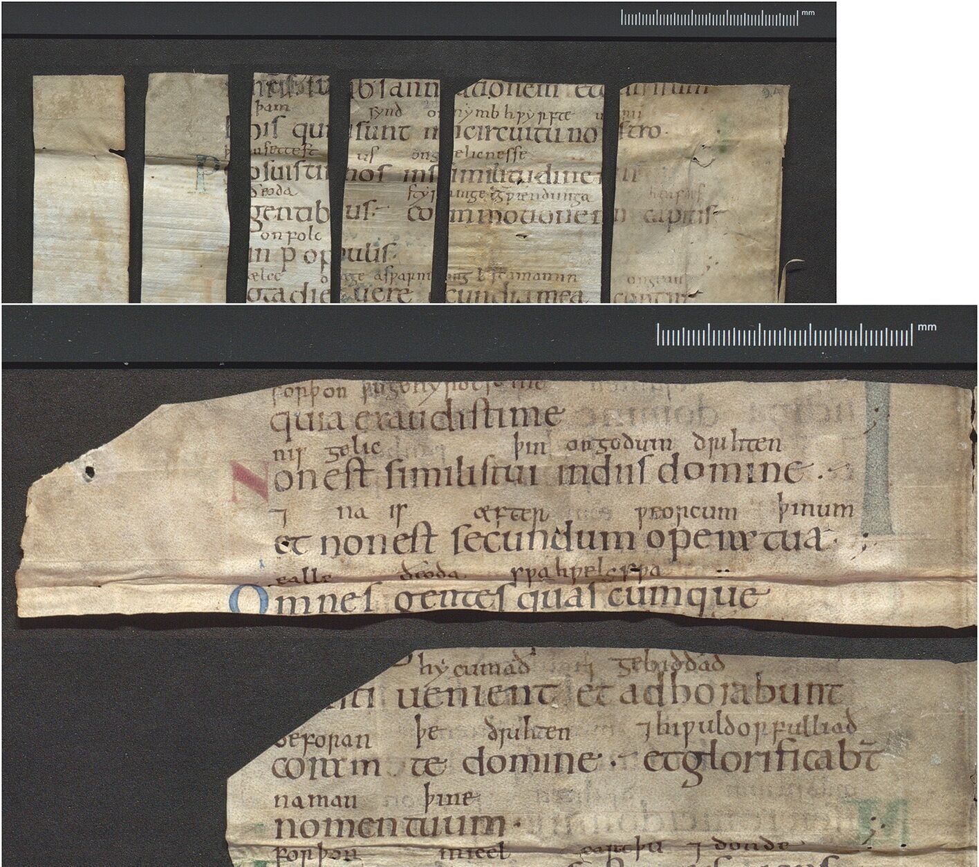 Archaeologists find lost manuscript book of psalms of refugee princess (photo)