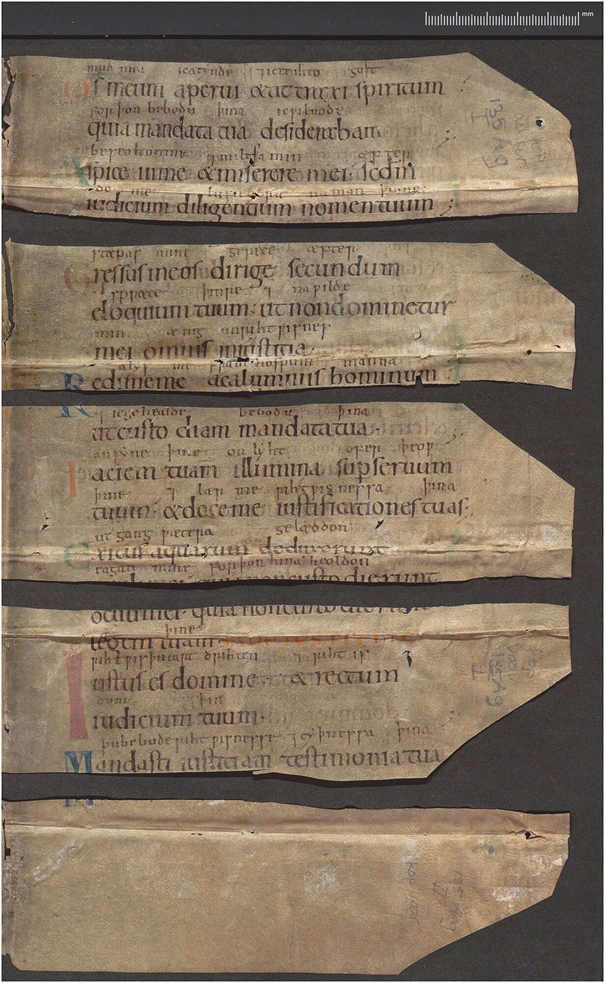 Археологи знайшли загублену рукописну книгу псалмів принцеси-біженки (фото)