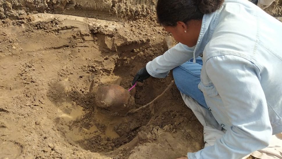 У Бразилії виявили поховання невідомої групи мисливців-збирачів віком 10 000 років (фото)