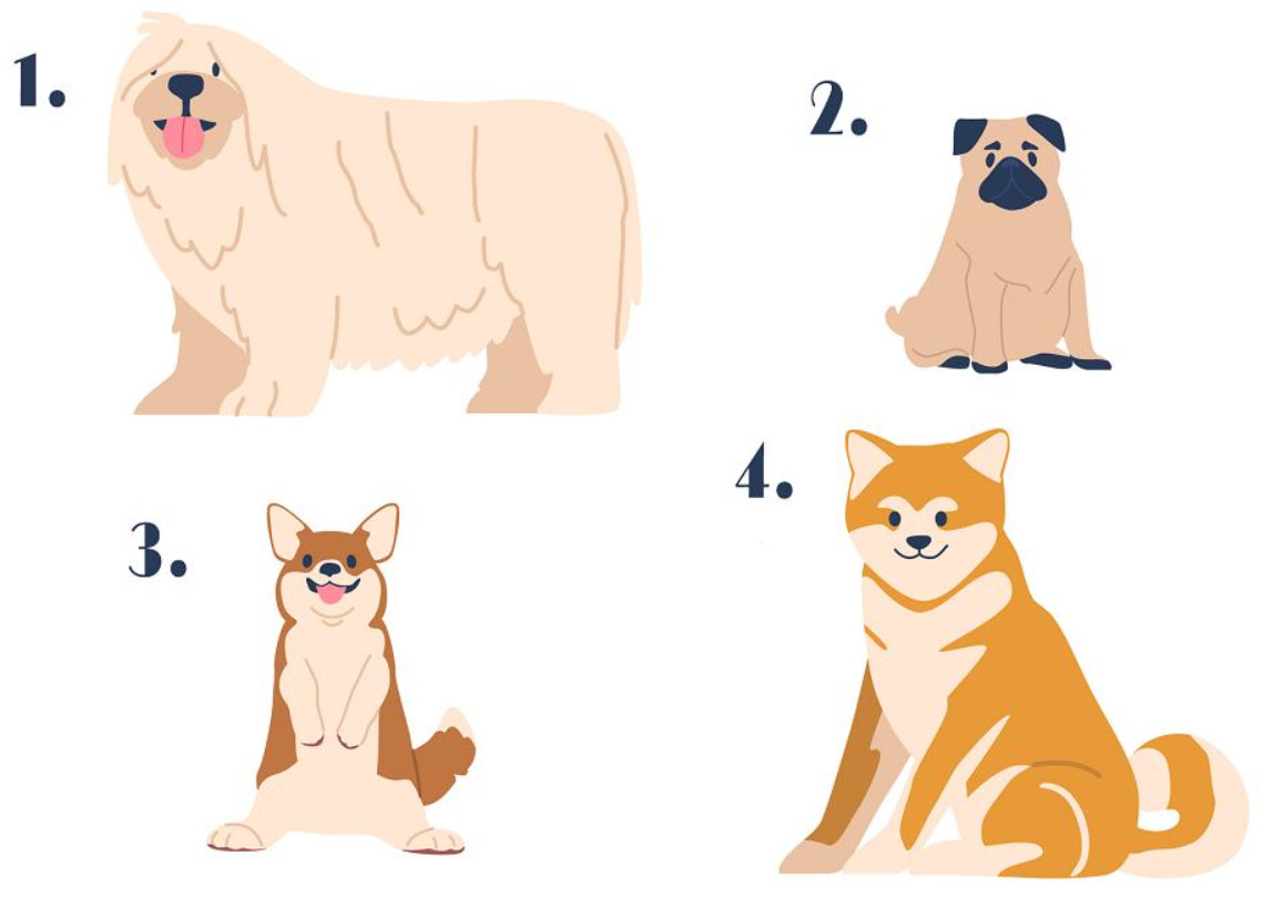 What kind of dog will you bring home? This psychological test will tell you a lot about you