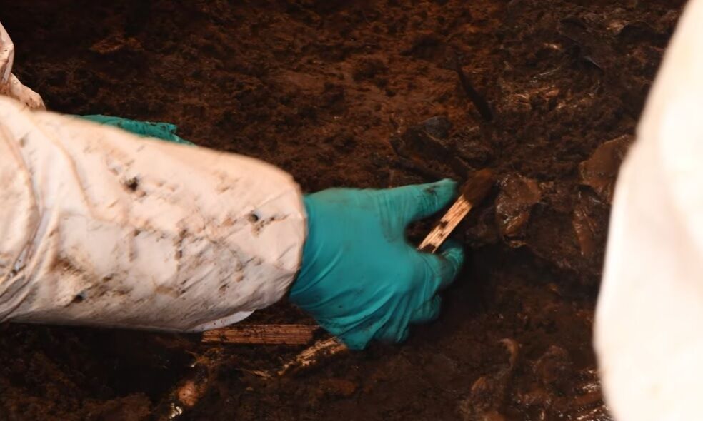 Body of a child found in a swamp in Ireland: it turned out to be over 2000 years old (video)