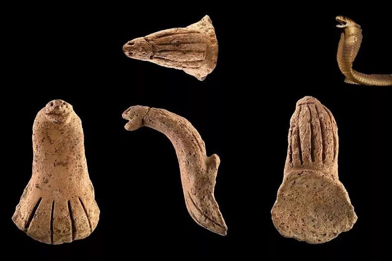 У Тайвані виявили 4000-річний артефакт зі змією для ритуалів (фото)