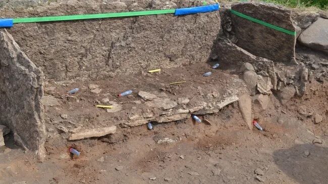 У Швеції знайшли моторошне поховання: у скелетів людей відсутні черепи (фото)