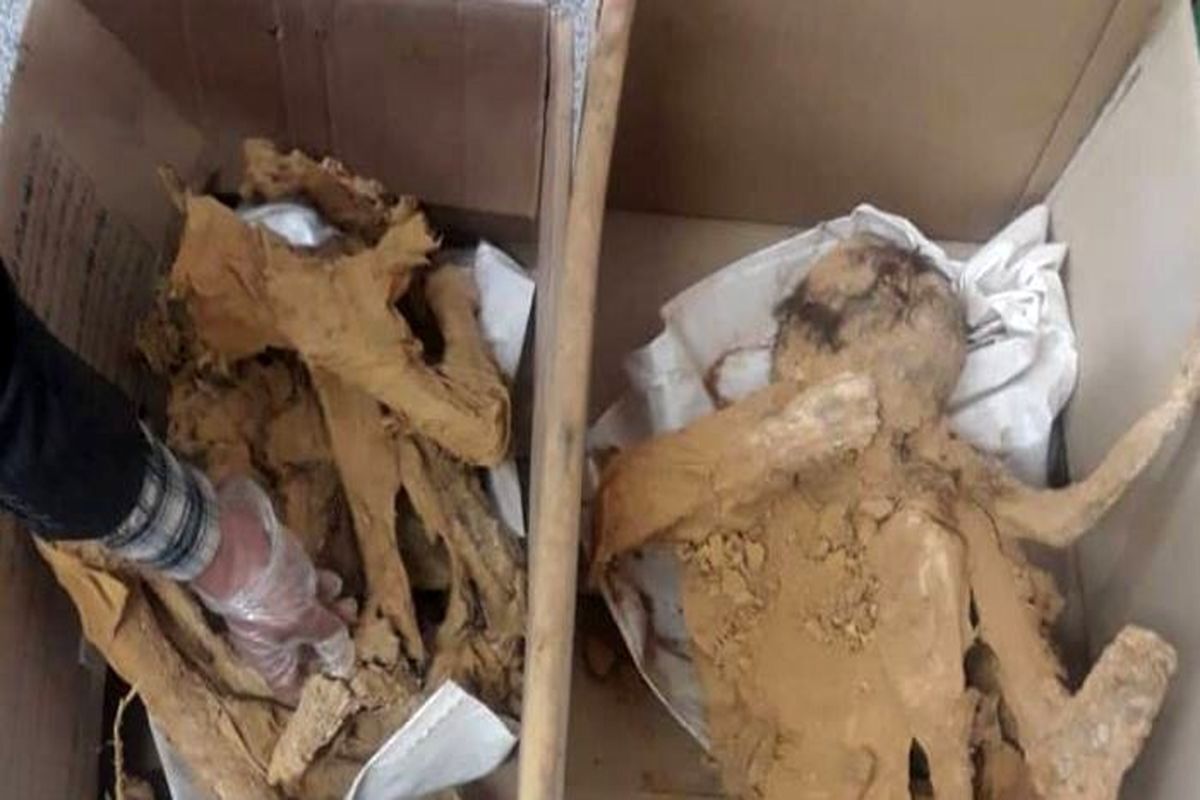 В Ірані знайшли 3000-річні скелети дев'яти дітей, серед яких були немовлята та ембріони (фото)