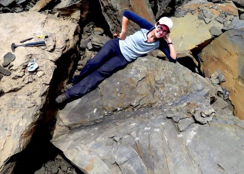 Археологи обнаружили окаменелости редкого дерева, росшего на Земле 350 млн лет назад (фото)