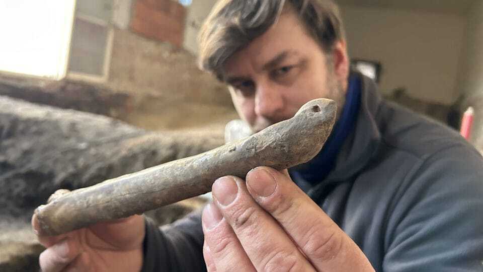 В Чехии обнаружили 1000-летний костяной конек (фото)