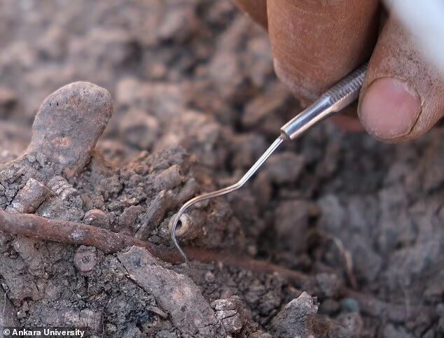 Археологи нашли доказательства пирсинга на остатках доисторических людей (фото)