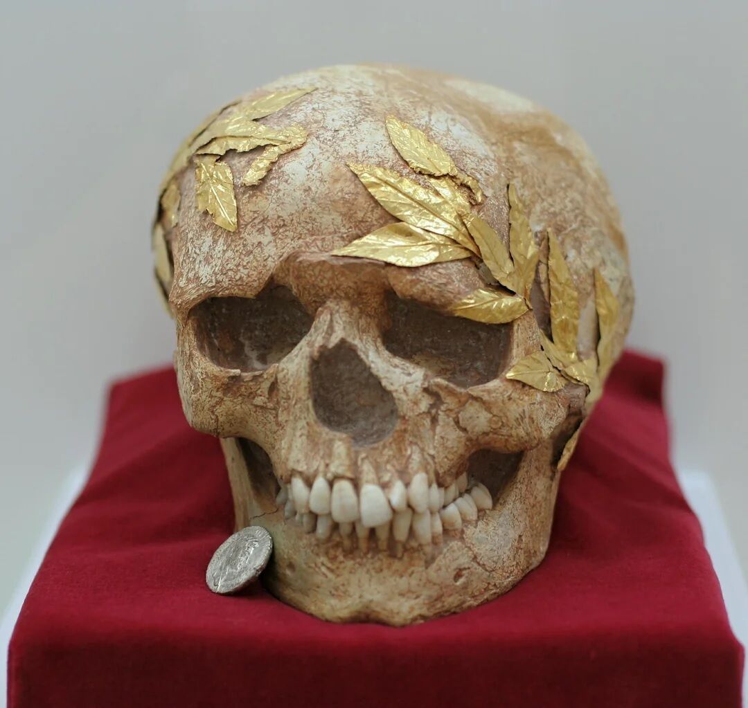 Плоть распалась, а венок остался: в Греции нашли череп коронованного атлета (фото)