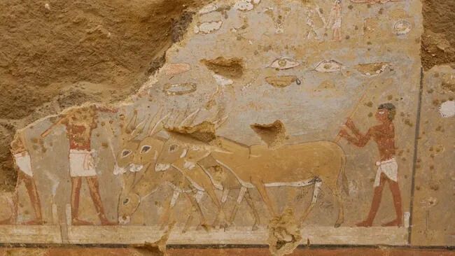 В Єгипті знайдено 4300-річну гробницю жреців з вражаючими настінними розписами (фото)
