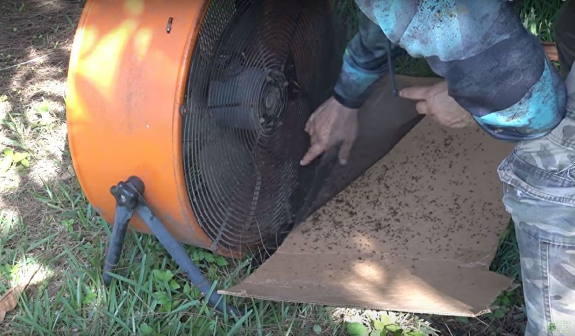 Погибнут тысячи комаров за одну ночь: неожиданный лайфхак от американца (видео)