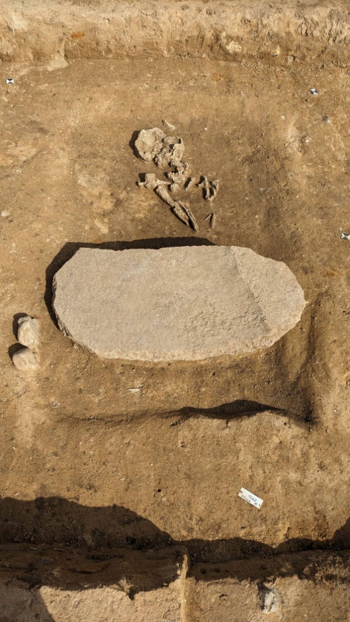 Археологи нашли ''могилу зомби'' возрастом 4200 лет (фото)