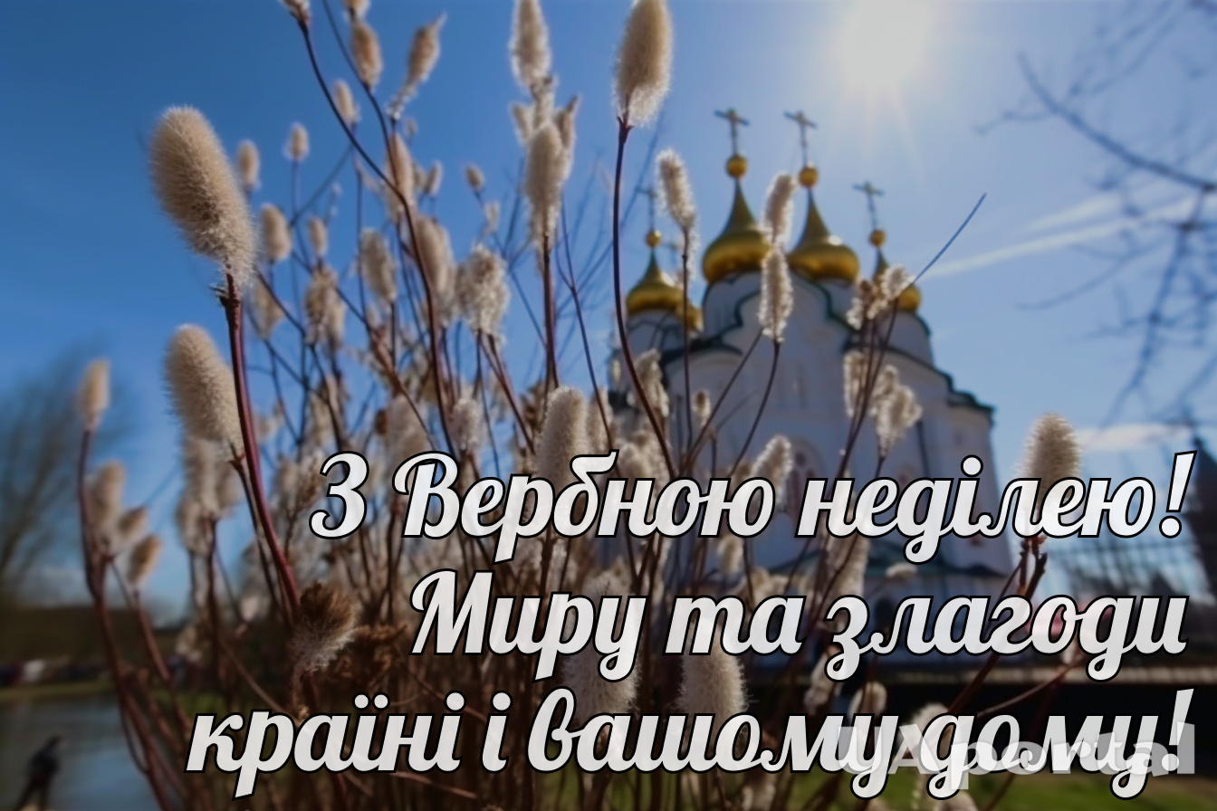 Вербна неділя 2024 в Україні – вітання у прозі українською мовою та  картинки з Вербною неділею