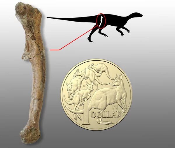 Палеонтологическое открытие: ученые обнаружили уникальные останки новорожденных динозавров (фото)