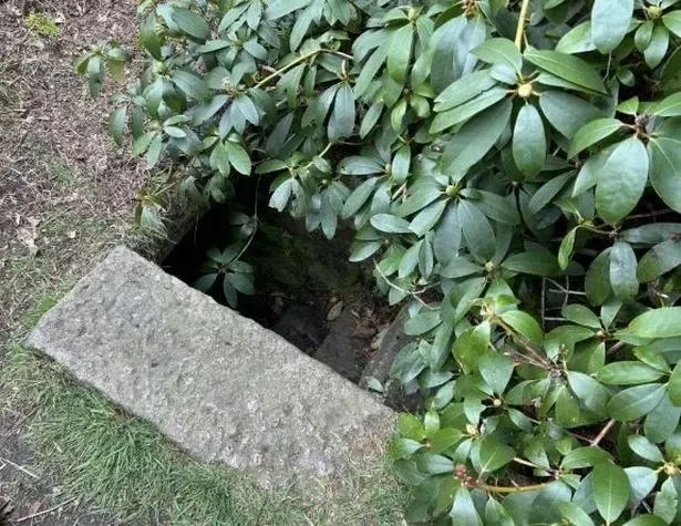 Жуткая находка: мужчина обнаружил люк, ведущий к туннелю с бункерами (фото)