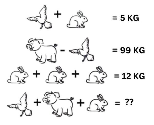 Головоломка на логику: сосчитайте вес животных всего за 25 секунд
