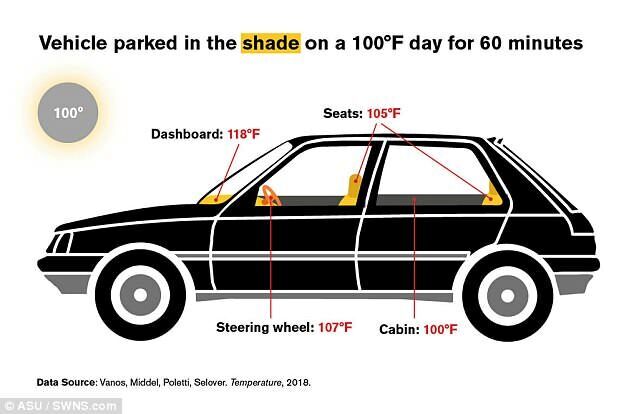 +75 градусів і плавляться автівки: як захистити транспорт та пасажирів від палючого сонця