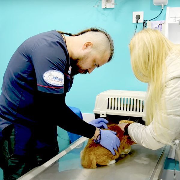 ''Пашол ти на**й тагда'': в Одесі чоловік нагрубив ветеринару, який втратив ноги на війні (відео)