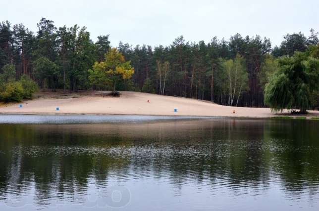 Пляж у Пущі Водиці