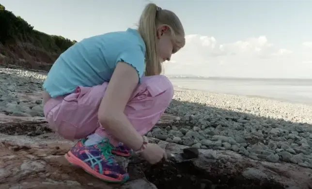 A shocking discovery on a beach in Wales: 10-year-old girl discovers ancient dinosaur footprints dating back 200 million years (photo)