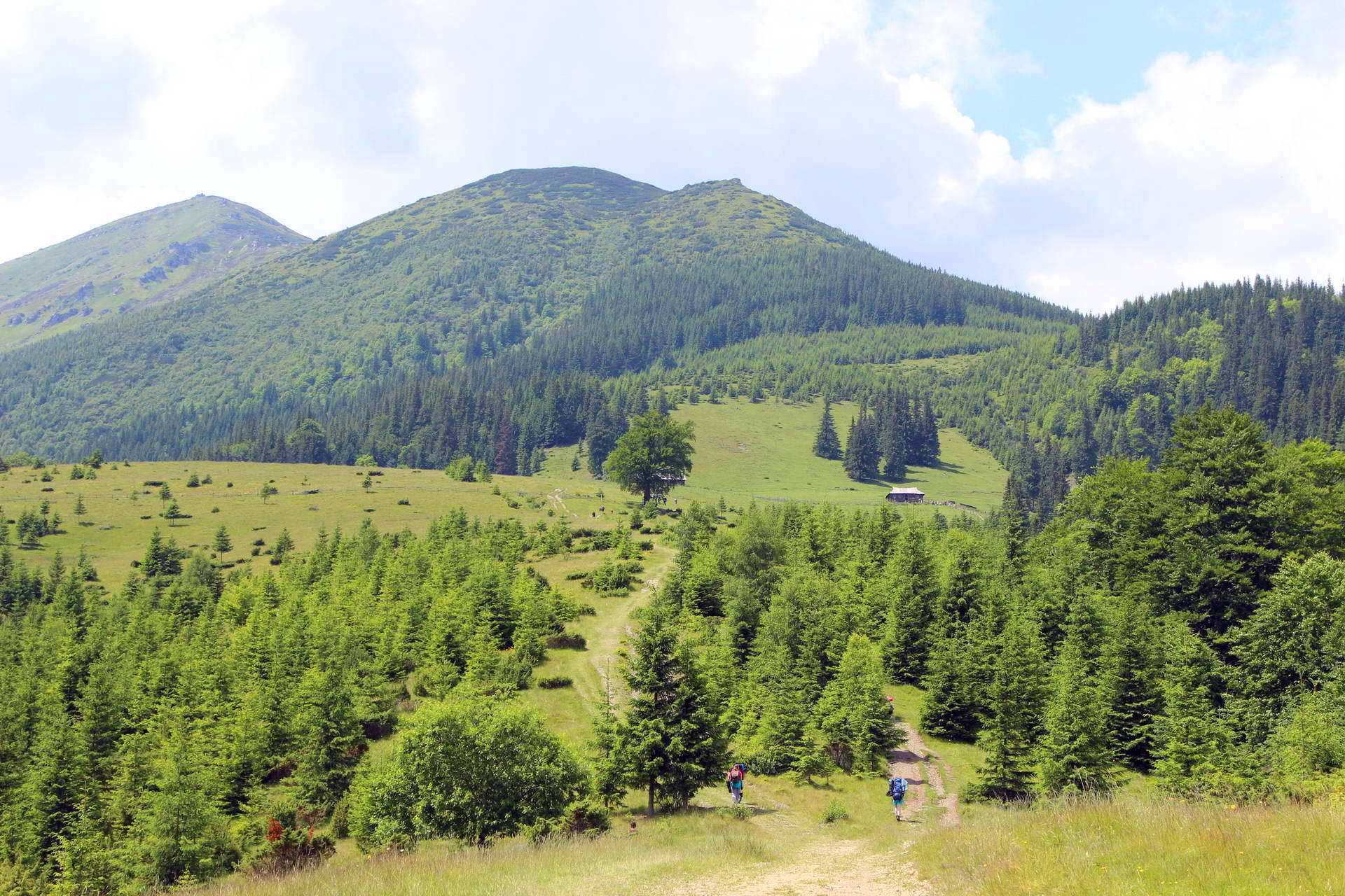 Чорногірський хребет